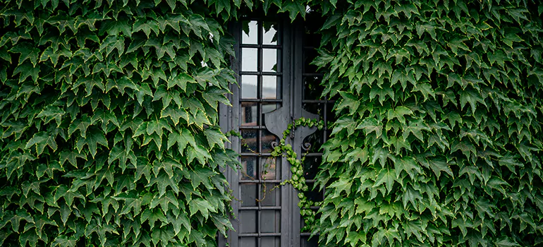 Garden Gate Repair in Boca Raton, FL