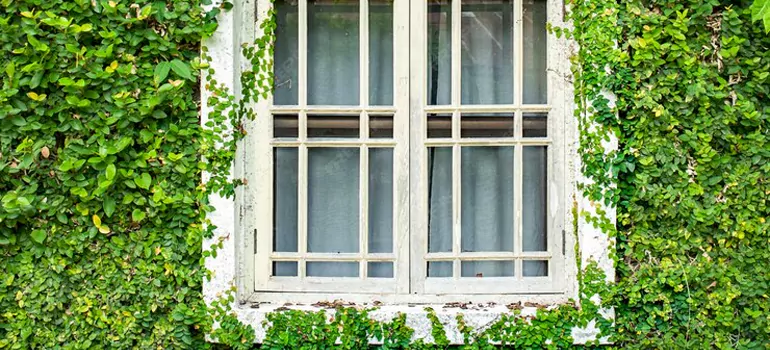 Garden Window Repair Near Me in Boca Raton, FL